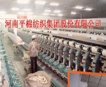 河南平棉纺织集团股份有限公司